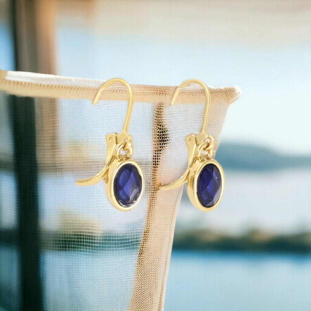 Dark Blue Stone Dangle Earrings